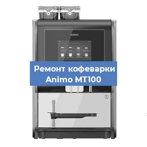 Замена дренажного клапана на кофемашине Animo MT100 в Екатеринбурге